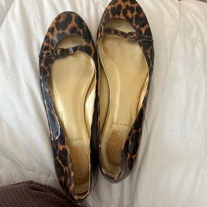Size 7.5 J Crew Ballet Flat (OBO)